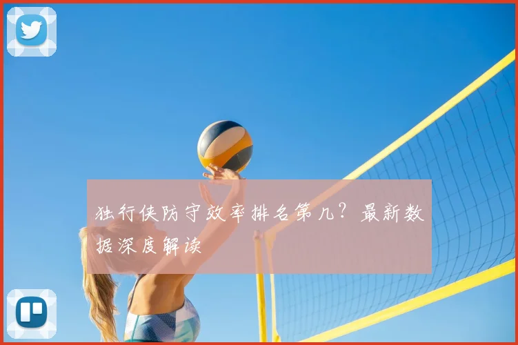 独行侠防守效率排名第几？最新数据深度解读