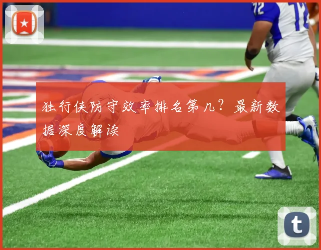 独行侠防守效率排名第几？最新数据深度解读