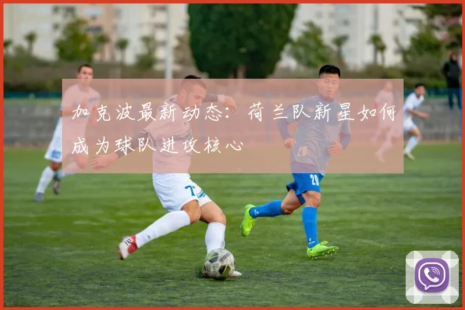 加克波最新动态:荷兰队新星如何成为球队进攻核心