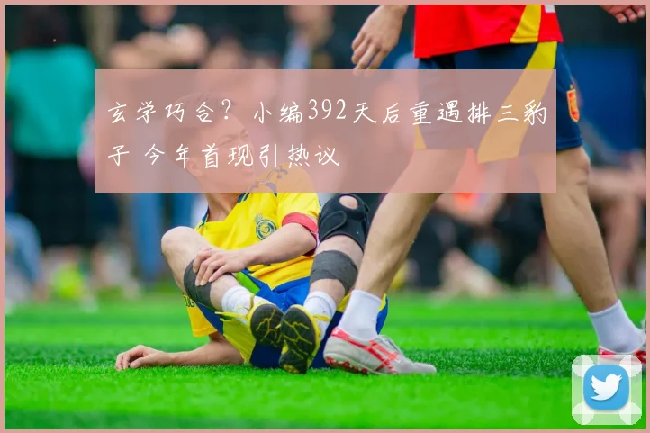 玄学巧合？小编392天后重遇排三豹子 今年首现引热议